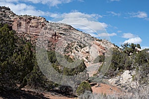 Monocline near the No Thoroughfare Canyon picnic area in the Colorado National Monument