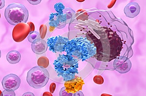 Monoclonal antibody treatment in Chronic lymphocytic leukemia (CLL) - closeup view 3d illustration
