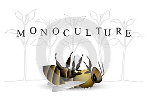 Monoculture Bee