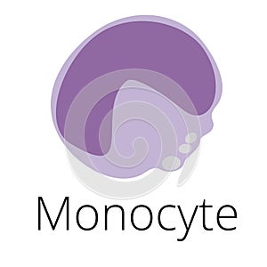 Monocyte, a white blood cell, illustration