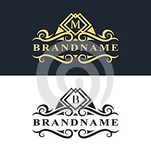 Monogram design elements, graceful template. Calligraphic Elegant line art logo design