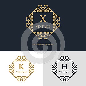 Monogram design elements, graceful template. Calligraphic elegant line art logo design.