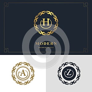 Monogram design elements, graceful template. Calligraphic elegant line art logo design