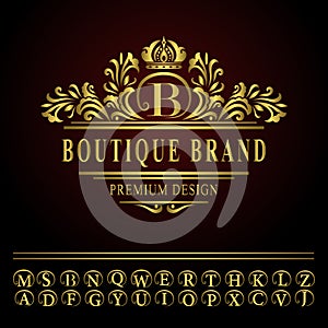 Monogram design elements, graceful template. Elegant line art logo design.