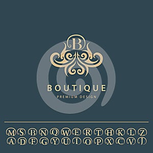 Monogram design elements, graceful template. Elegant line art logo design.