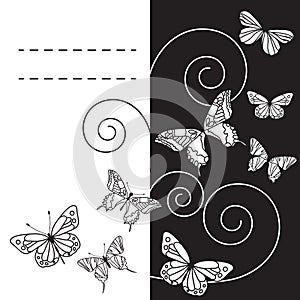 Monohrome background with butterflies. Vector illustration/EPS 8