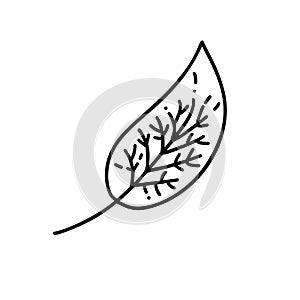 Monoline leaf of tree logo. Outline emblem in linear style. Vector abstract icon for design of natural products, flower