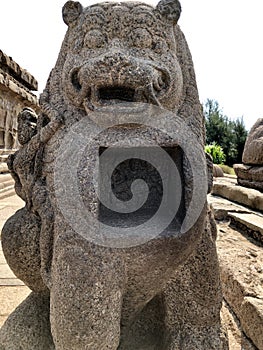 Monolithic Lion statue in Shore temple at Mahabalipuram, Tamilnadu