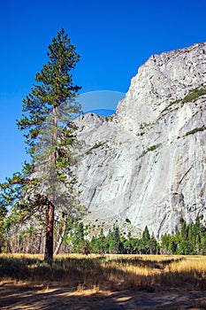 The monolithic rock El Capitan