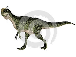 Monolophosaurus