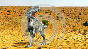 Monolophosaurus desert
