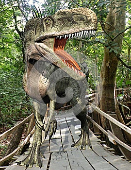 Monolophosaurus forest