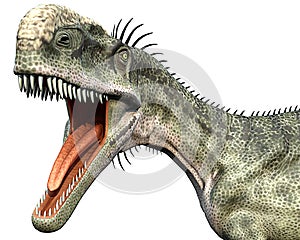 Monolophosaurus side close head