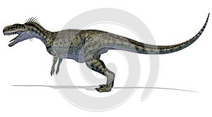 Monolophosaurus Upper Jurassic carnivorous dinosaur side