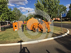 Monoment made by Orange  in a Festival of Orange in Griffith.