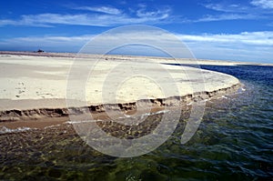 Monomoy Island Chatham MA Sand-Bar photo