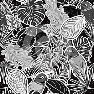 Monotone black and white Seamless pattern of monotone pink tone Tropical forest with leaves , parrots, palm leaves, polka dots,