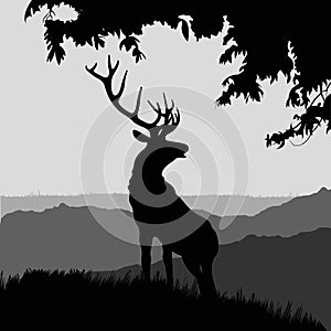 Monotonic illustration of an elk