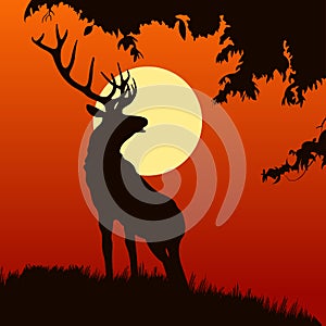 Monotonic illustration of an elk