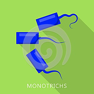 Monotrichs icon, flat style