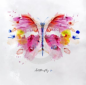 Monotype vivid butterfly photo