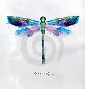 Monotype vivid dragonfly