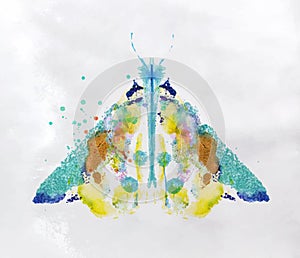 Monotype vivid moth