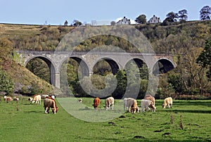 Monsal Head Viaduct, Monsaldale, Derbyshire