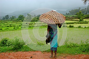 Monsoon photo