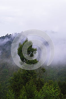 monsoon clouds gathering over palani hills, part of western ghats mountains range, kodaikanal in tamilnadu, india