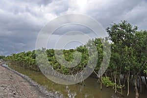 Monsoon Season In India photo