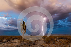 Monsoon thunderstorm lightning strike in the Arizona desert