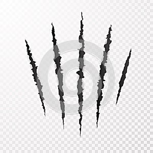 Monster Claws. Claw scratch mark. Animal scratch  on transparent background. Shred paper. Vector illustration