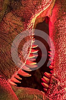 Monster. Close-up of dinosaur creature teeth under evil red light.