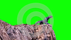 Monster Cougar Roars on the Mountains Green Screen 3D Rendering Animation