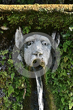 Monster face. Detail of the luxury Villa d`Este in Tivoli, near to Rome - Italy