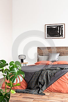 Monster flower in simple bedroom interior with empty white wall