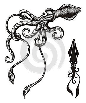 Monster squid