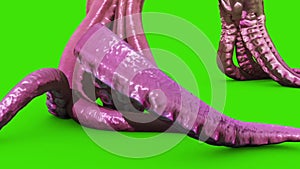 Monster Tentacles Loop Green Screen 3D Rendering Animation