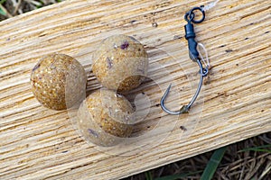 Monster Tigernut Boilies with fishing hook. Fishing rig for carps, boilie rig, near the lake on a piece of wood