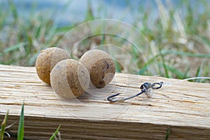 Monster Tigernut Boilies with fishing hook. Fishing rig for carps, boilie rig, near the lake on a piece of wood photo