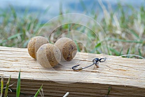 Monster Tigernut Boilies with fishing hook. Fishing rig for carps, boilie rig, near the lake on a piece of wood photo