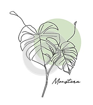 Monstera. Continuous line drawing
