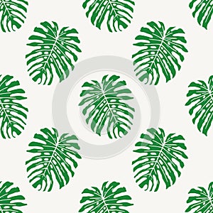 Monstera deliciousa tropical leaf seamless pattern vector illustration background