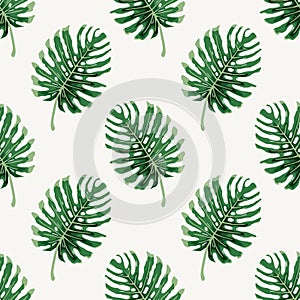 Monstera deliciousa tropical leaf seamless pattern vector illustration background