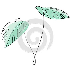 Monstera delicosa plant leaves continuous one line drawing minimalist design. Simple minimalism style on white