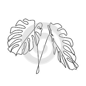 Monstera delicosa plant leaves continuous one line drawing minimalist design. Simple minimalism style on white background