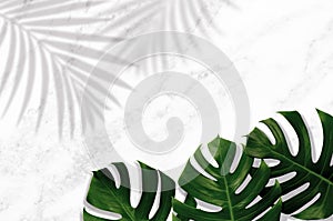 Monstera green leaf with palm shadow on white marble ,quartz texture background.Flat lay,top view natural color illustration tropi