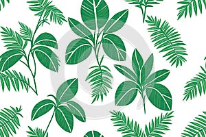 Monstera green leaves or Monstera Deliciosa background. Seamless flat painting. Beautiful tribal generative ai art background.,