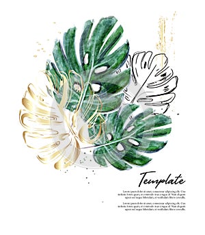 Monstera hand-drawn watercolor illustration with gold foil sparkles. Modern split-leaf Philodendron plant isolated on